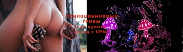 apvp Алексин