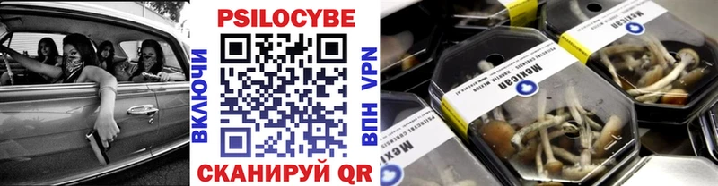 Псилоцибиновые грибы GOLDEN TEACHER  Апрелевка 