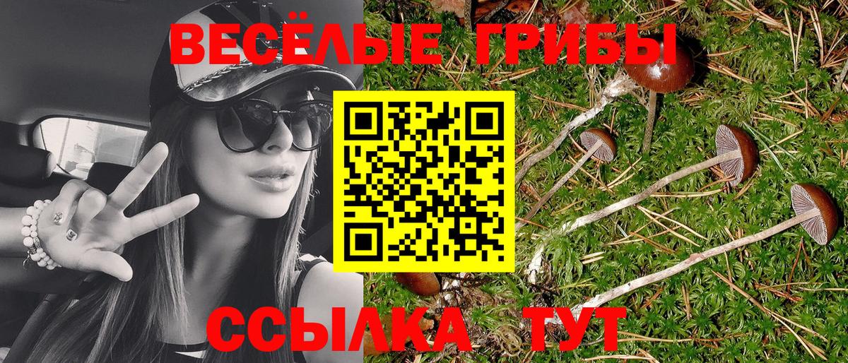 где продают   Вход с VPN  Апрелевка  Псилоцибиновые грибы прущие грибы 